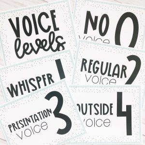 Classroom management strategies and voice level posters that work.
