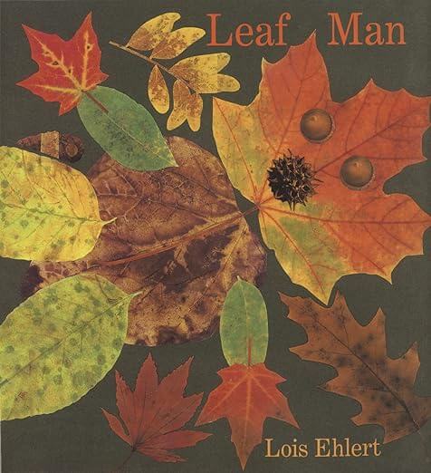 Children's books about the fall - leaf man