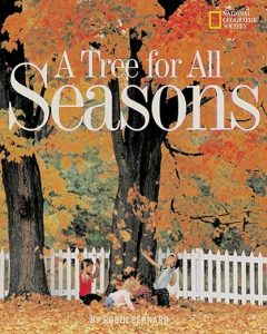 Children's books about the fall - tree seasons