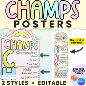 mid-year classroom reset - champs posters